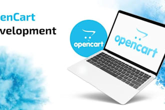 fix any bug or issue in opencart store