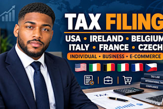 tax filling in USA ireland belgium italy france czech for individual, businesses