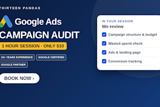 audit your google ads campaign in a 1 hour live session