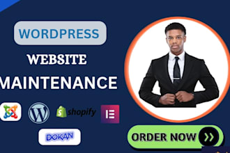 provide wordpress website maintainance, care plan and support