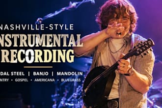 record studio quality nashville pedal steel, banjo and mandolin