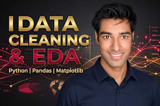 do python data analysis, data cleaning, and data visualization