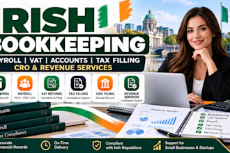 do irish bookkeeping payroll vat accounts tax filling cro and revenue service