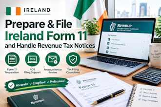 prepare and file ireland form 11 and handle revenue tax