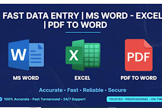be your expert virtual assistant for data entry, excel and pdf to word