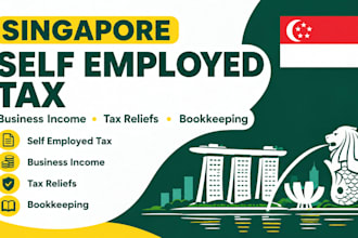 handle singapore self employed tax, business income, tax reliefs and bookkeeping