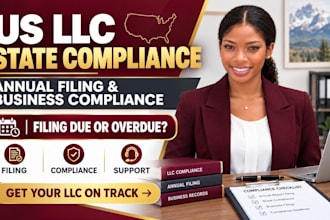 handle US llc state compliance annual filing and business compliance