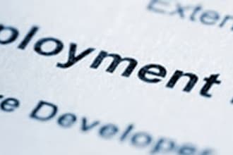 professionally review your developer, programmer, design, or IT related resume