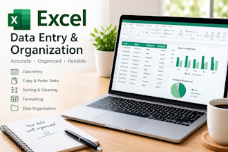 do accurate excel data entry and data organization