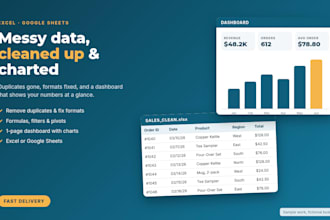 clean up your excel or google sheets data and build a dashboard