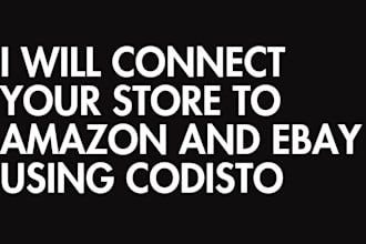 connect your store to amazon and ebay using codisto