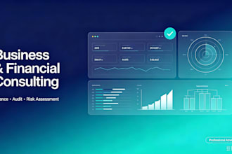 do professional financial, audit and business consulting