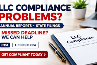 handle your US llc compliance and annual report filing