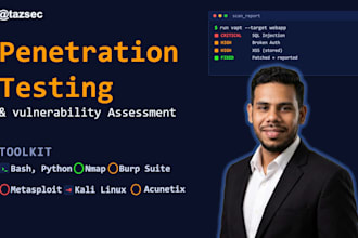 perform web penetration testing and security assessment