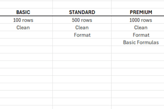 clean, organize and format your excel spreadsheet