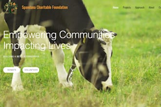 build fundraising focused websites for nonprofits
