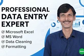 do ms excel data entry,i am an expert in microsoft excel