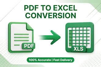 pdf to excel data entry typing work