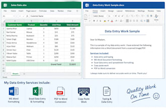 do data entry, ms word, excel and copy paste work