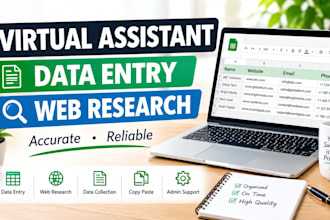 be your virtual assistant for data entry and web research