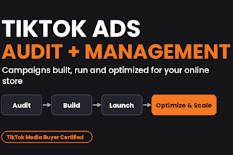 audit and manage tiktok ads so you stop wasting your budget