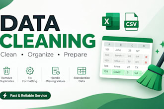 clean and organize your data in excel or CSV
