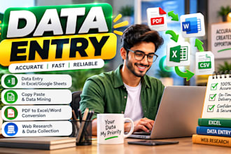 do error free data entry for you