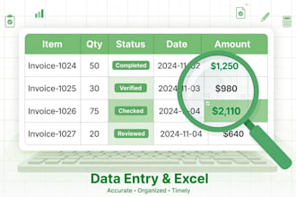 do fast accurate data entry and excel cleanup