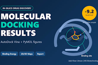 perform molecular docking with autodock vina and pymol figures