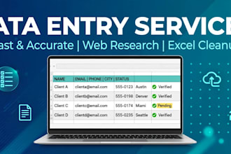 do fast and accurate data entry web research and excel data cleanup