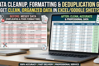 provide expert data formatt