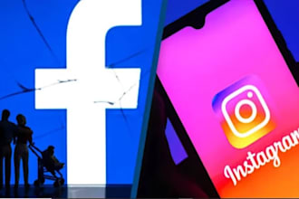 professional, restore instagram page, facebook page,ig profile unbanning issues