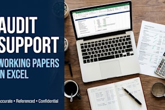 provide audit support and working papers