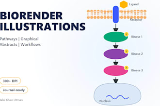 create biorender scientific illustrations and graphical abstracts