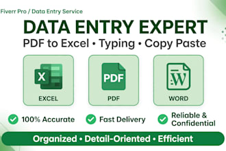 do data entry, ms excel work, PDF to excel and copy paste work