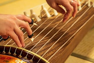 play and record real guzheng, erhu, sitar for your track