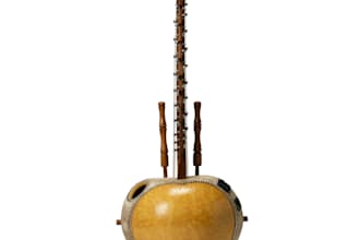 record bouzouki,koto,harp, kora, banjo,lute,sitar,mandolin,pipa,qanun, charango