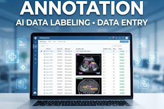 do medical data annotation, data entry and web research