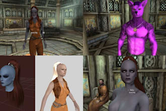make custom skyrim armor weapon mod character design 3d model