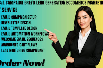 setup email campaign brevo klaviyo  b2b lead generation eccomerce marketing flow