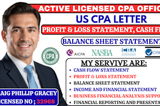 prepare profit and loss, financial statement, balance sheet and cash flow