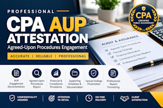provide professional CPA agreed upon procedures aup attestation