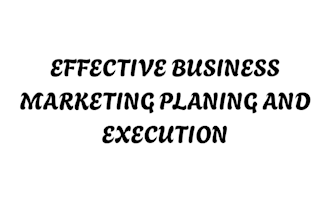 provide professional business management and  support