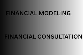 do financial consultation, financial modeling