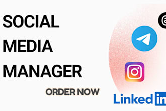 be your social media marketing manager scale your social media