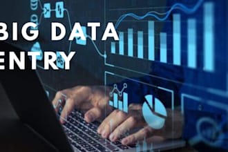 provide big data entry for businesses, bulk processing and excel tasks