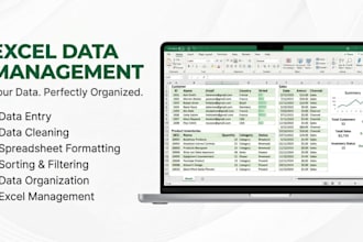 do data entry work with accuracy and perfection
