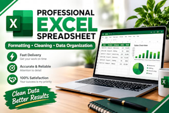 create, format and edit professional excel spreadsheets