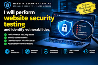 perform website security testing and identify vulnerabilities