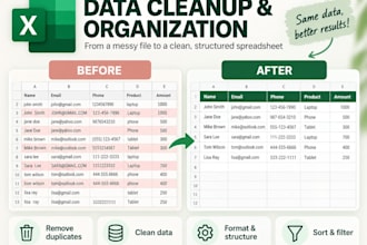 organize, format and clean your excel spreadsheets